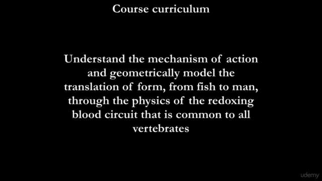 Physics of Human Evolution – Screenshot 3