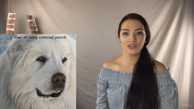 Fundamentals of Coloured Pencils - Beginners Course – Screenshot 1