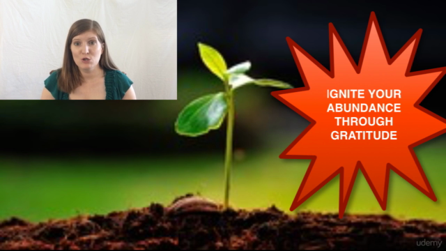 Ignite Your Abundance Through the Power of Gratitude – Screenshot 1