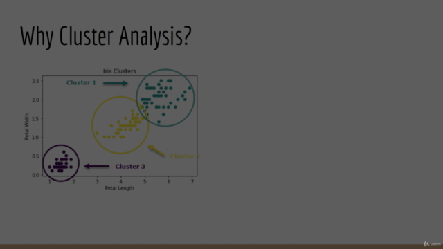 Cluster Analysis and Unsupervised Machine Learning in Python – Screenshot 1