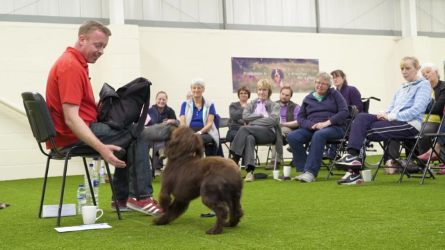 Dog Training for Humans - How To Be Your Dogs Superhero – Screenshot 2