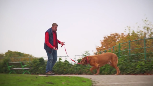 Dog Training for Humans - How To Be Your Dogs Superhero – Screenshot 4