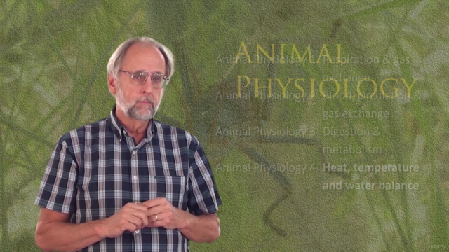 Animal Physiology 4: Temperature, heat and water balance – Screenshot 1