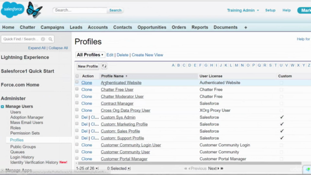 Salesforce Sys Admin Training: Security - Design & Configure – Screenshot 3