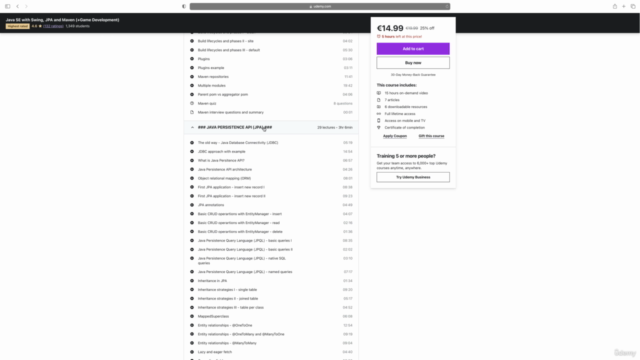 Java SE with Swing, JPA and Maven (+Game Development) – Screenshot 2