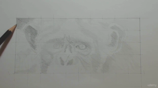 Drawing From Photographs - Grid Drawing Method Made Simple! – Screenshot 2