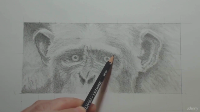 Drawing From Photographs - Grid Drawing Method Made Simple! – Screenshot 3