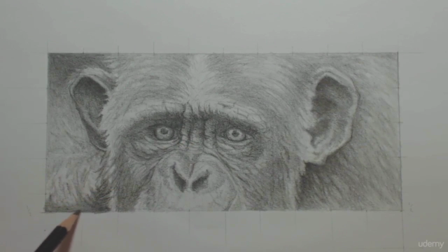 Drawing From Photographs - Grid Drawing Method Made Simple! – Screenshot 4