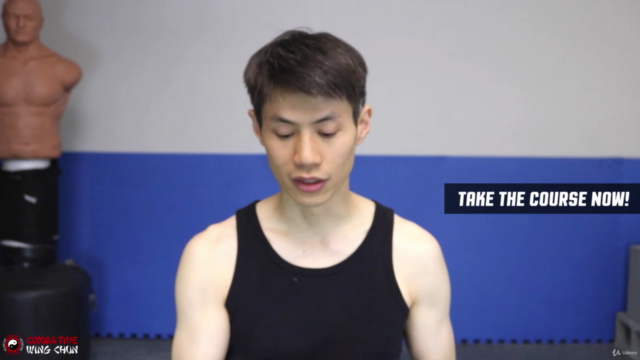 Wing Chun for Beginners 2 - Learn Martial Arts Kung Fu – Screenshot 1