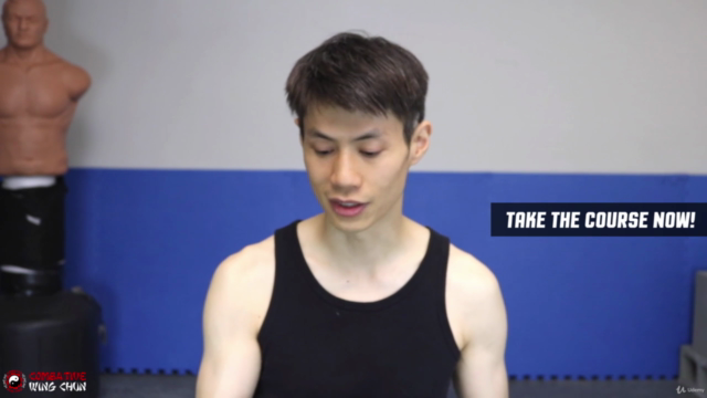 Wing Chun for Beginners 2 - Learn Martial Arts Kung Fu – Screenshot 2