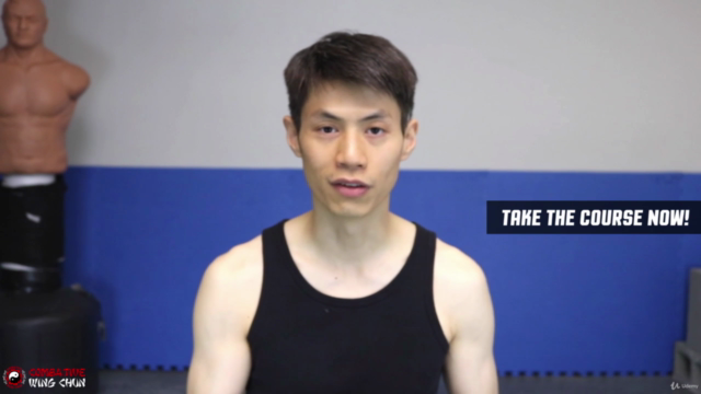Wing Chun for Beginners 2 - Learn Martial Arts Kung Fu – Screenshot 3