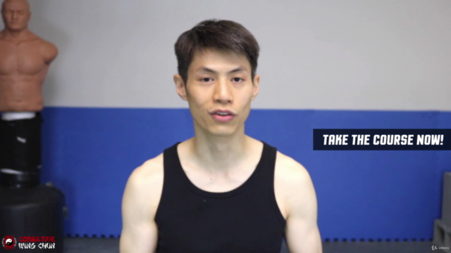 Wing Chun for Beginners 2 - Learn Martial Arts Kung Fu – Screenshot 4