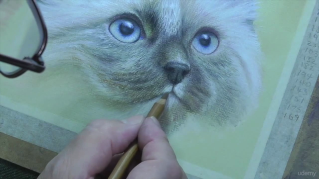 How To Draw Animals For Beginners - Volume 1 – Screenshot 3