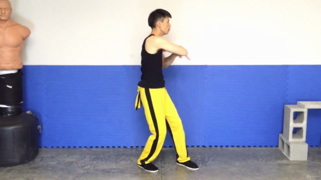 3 Wing Chun Kugn Fu Forms and Applications Master Class – Screenshot 3