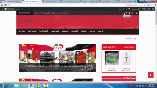 تطويرمواقع ويب إحترافية بإستخدام نظام وورد برس – Screenshot 2