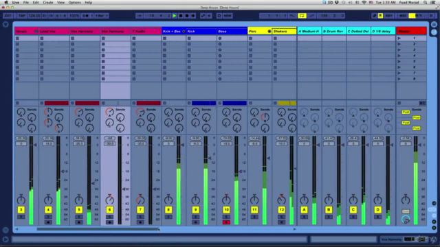 Mixing & Mastering Electronic Dance Music (EDM) – Screenshot 1