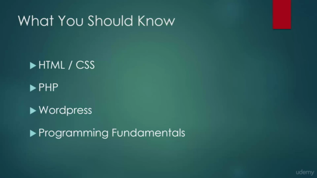 Learn To Create WordPress Themes By Building 10 Projects – Screenshot 2