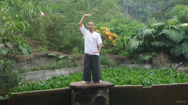 Mystical Qi Gong: Healing & Balancing of Body & Mind - Screenshot_04