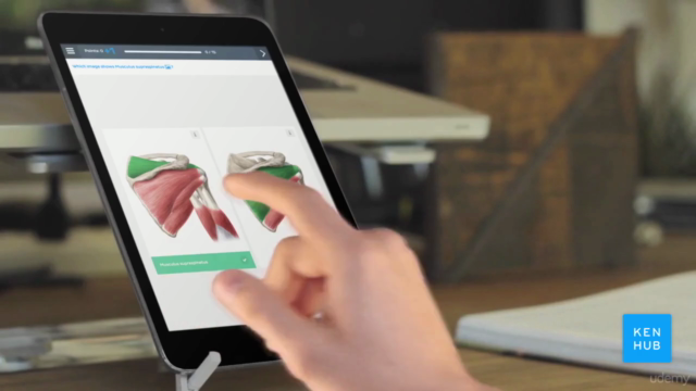 Anatomy Basics - Intro to Studying Human Anatomy – Screenshot 1