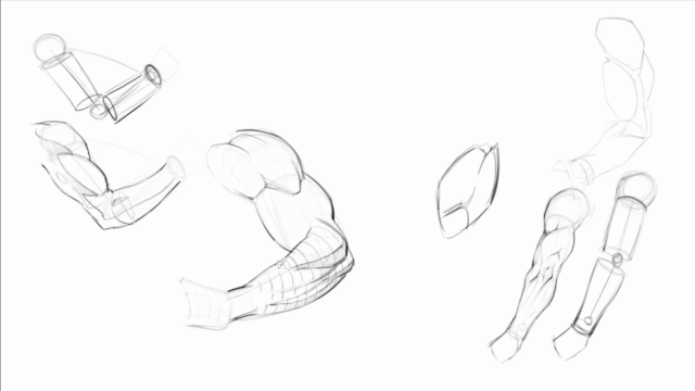 How to Improve Your Figure Drawing - Step by Step - Screenshot_01