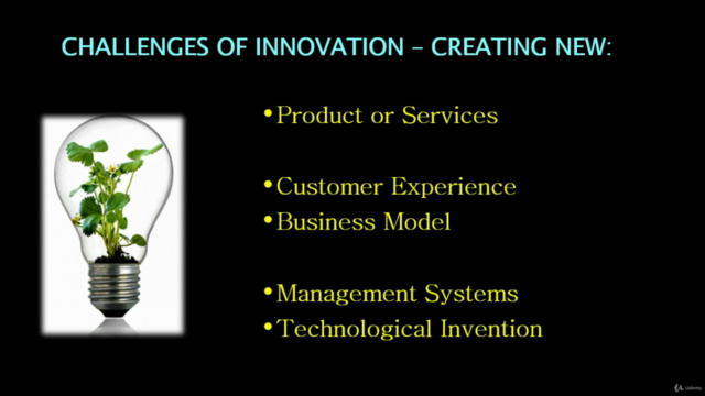 Design Thinking for Business Innovation – Screenshot 4
