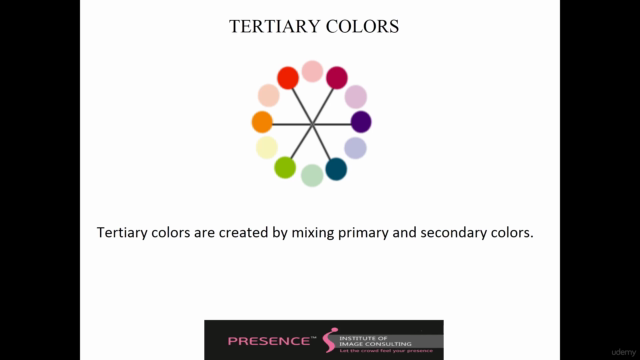 Advanced Color Styling Training – Screenshot 4
