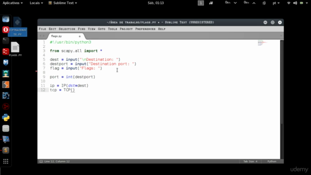 Python para Hackers – Screenshot 2