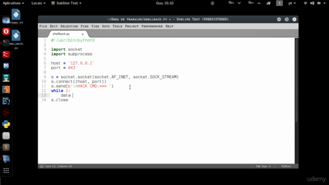 Python para Hackers – Screenshot 3