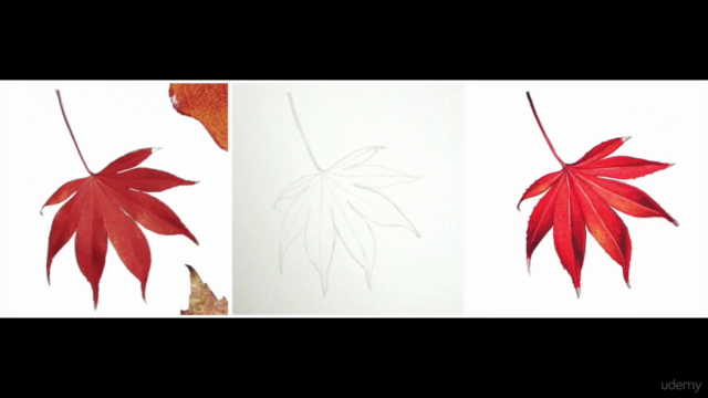 Paint Realistic Watercolour and Botanicals - CHASING AUTUMN – Screenshot 2