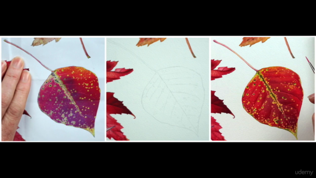 Paint Realistic Watercolour and Botanicals - CHASING AUTUMN – Screenshot 3