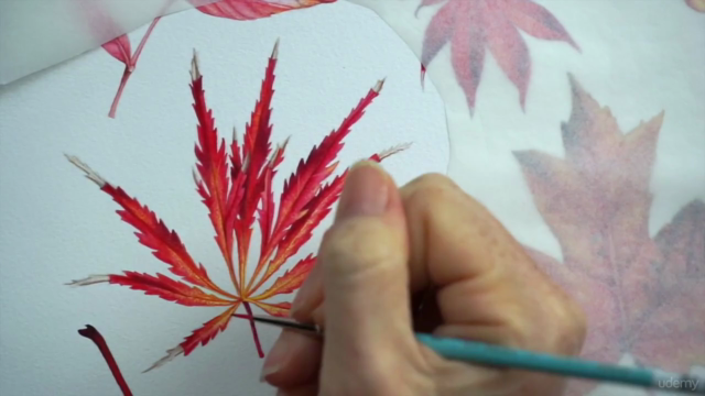 Paint Realistic Watercolour and Botanicals - CHASING AUTUMN – Screenshot 4
