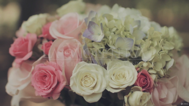 Diplomado en Diseño Floral – Screenshot 1