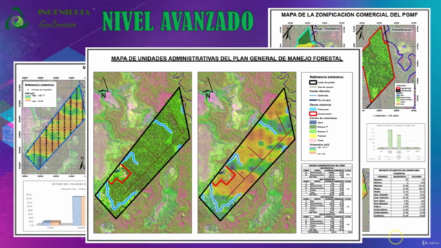 Curso de manejo forestal con ArcGIS (Intermedio-Avanzado) – Screenshot 2