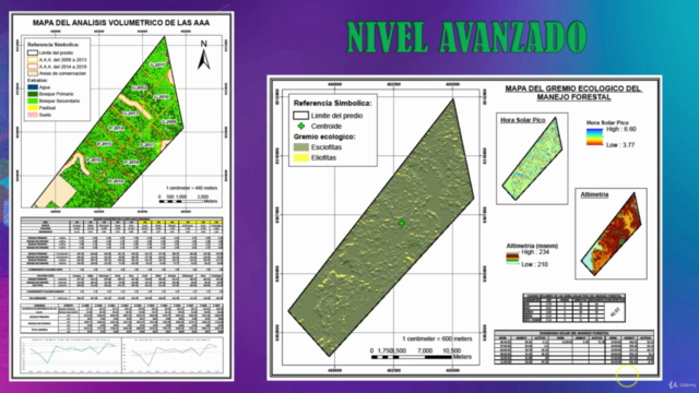 Curso de manejo forestal con ArcGIS (Intermedio-Avanzado) – Screenshot 4