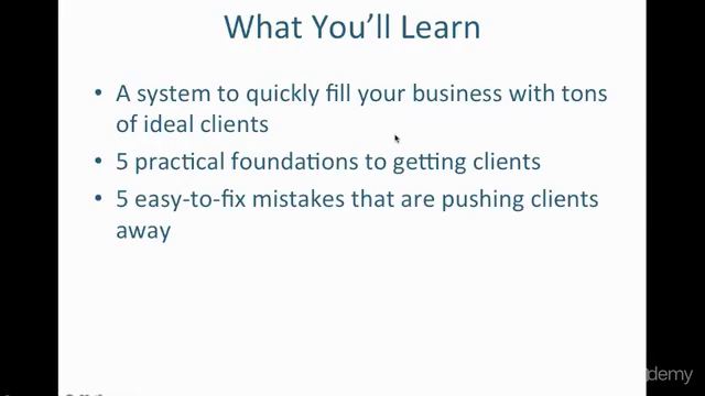 Get Tons of Ideal Clients Now – Screenshot 2