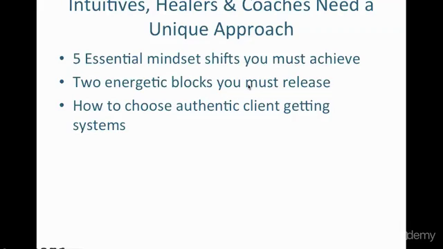 Get Tons of Ideal Clients Now – Screenshot 3