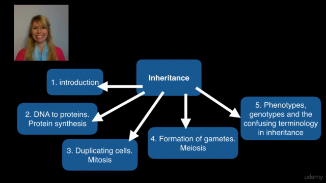 Tackling and mastering inheritance, selection and variation – Screenshot 3