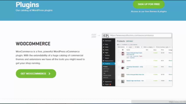 Learn How to Build an E-Commerce Website by WordPress – Screenshot 1
