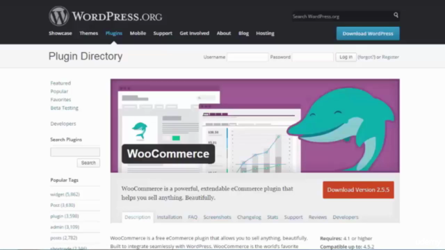 Learn How to Build an E-Commerce Website by WordPress – Screenshot 3