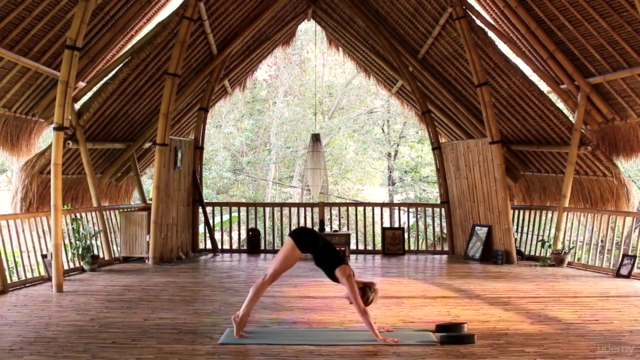 Yoga: Schritt für Schritt zu mehr Beweglichkeit und Energie – Screenshot 1
