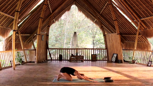Yoga: Schritt für Schritt zu mehr Beweglichkeit und Energie – Screenshot 4