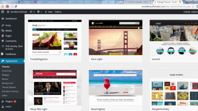 Learn Complete WordPress for Building a Professional Sites – Screenshot 4