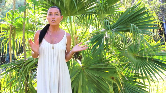 Yoga: Bikram Yoga at Home – Screenshot 1