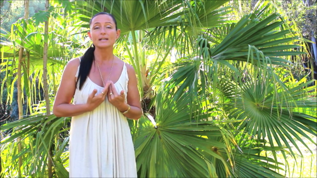 Yoga: Bikram Yoga at Home – Screenshot 2