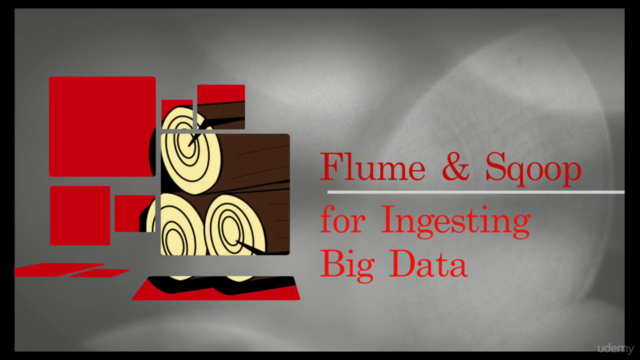 Flume and Sqoop for Ingesting Big Data - Screenshot_01