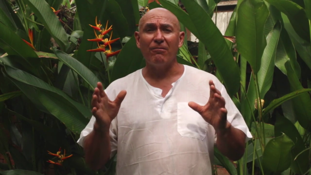 Learn the Simple 24 Posture Yang Style Taiji Form – Screenshot 1