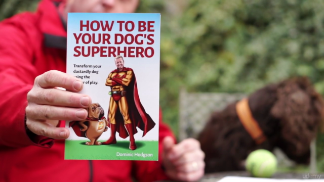 Dog Training For Humans - How to Find Your Dogs Kryptonite – Screenshot 1