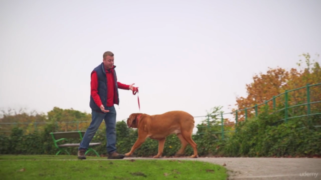 Dog Training For Humans - How to Find Your Dogs Kryptonite – Screenshot 4