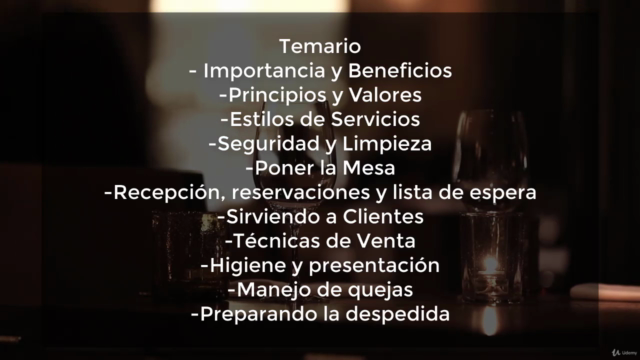 Ventas y Servicio al cliente en un Restaurante o Bar. – Screenshot 2