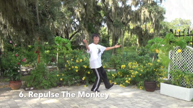 Easy-To-Learn Tai Chi Program (24 Steps, Yang Style) – Screenshot 1